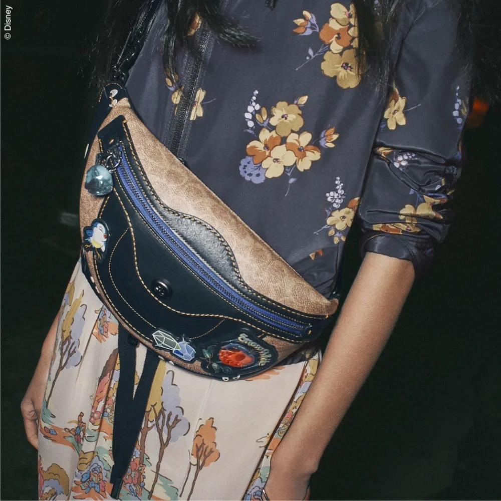 DISNEY × COACH "Snow White"🍎 fanny pack/handbag - Picture 3 of 10